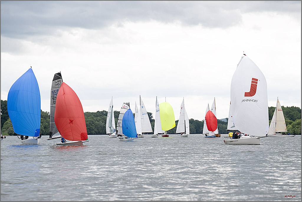 Rheinwoche 2025 1. Regattatag, 07.06.2025
