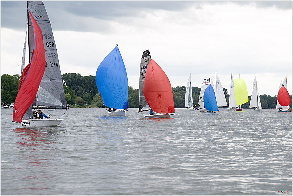 Rheinwoche 2025 1. Regattatag, 07.06.2025
