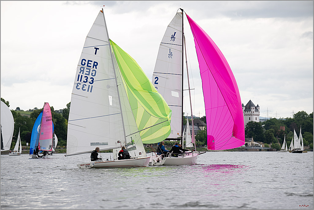 Rheinwoche 2025 1. Regattatag, 07.06.2025