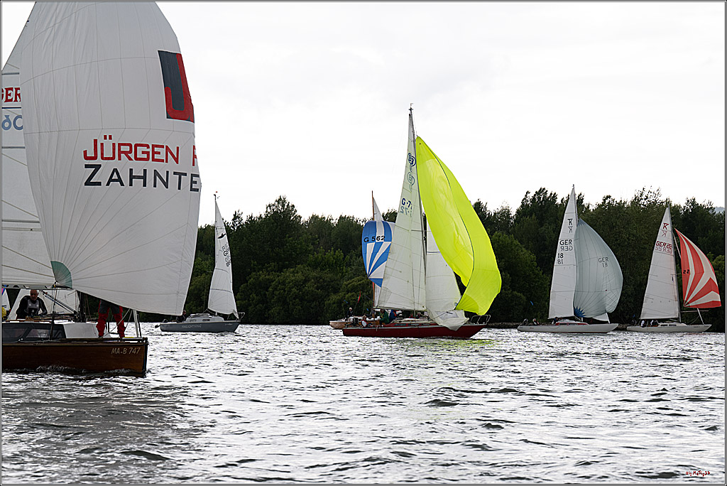 Rheinwoche 2025 1. Regattatag, 07.06.2025