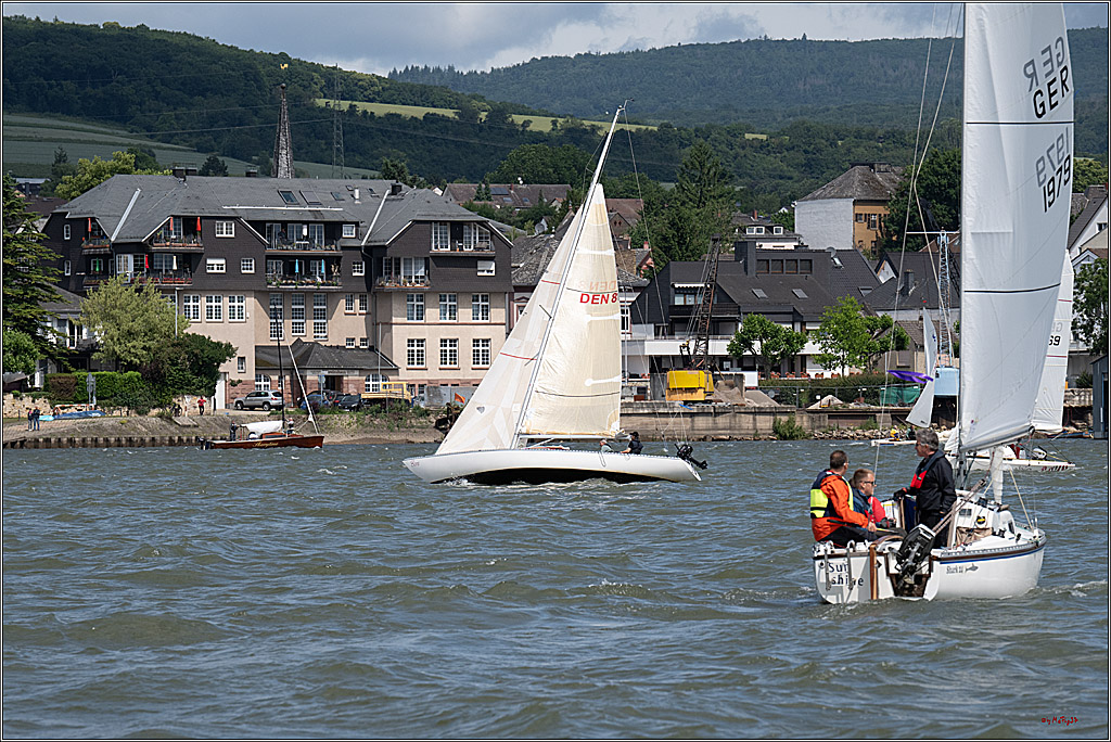 Rheinwoche 2025 1. Regattatag, 07.06.2025