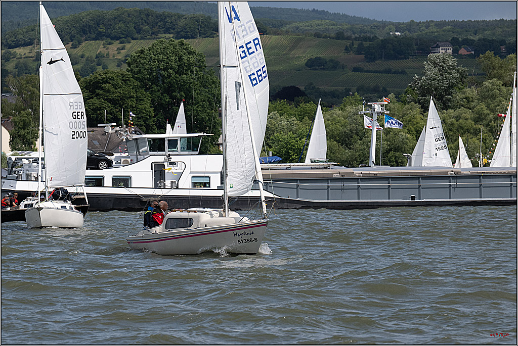 Rheinwoche 2025 1. Regattatag, 07.06.2025