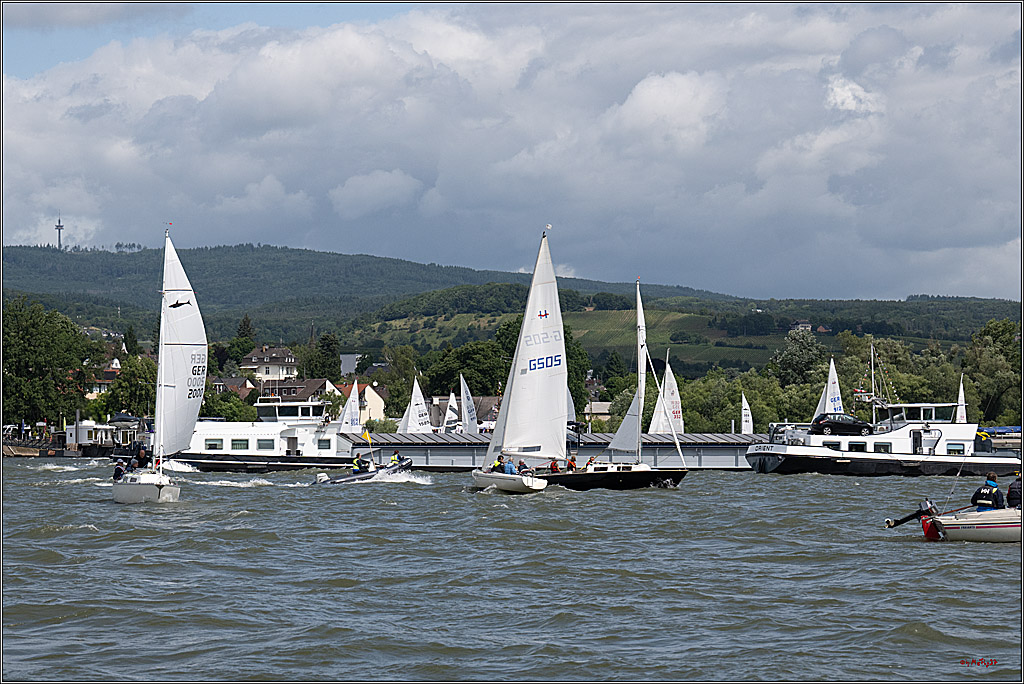 Rheinwoche 2025 1. Regattatag, 07.06.2025