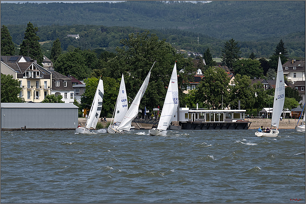 Rheinwoche 2025 1. Regattatag, 07.06.2025