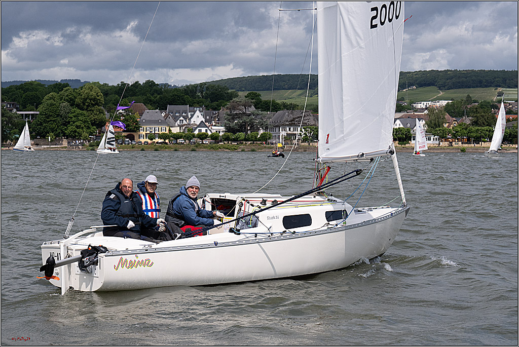 Rheinwoche 2025 1. Regattatag, 07.06.2025