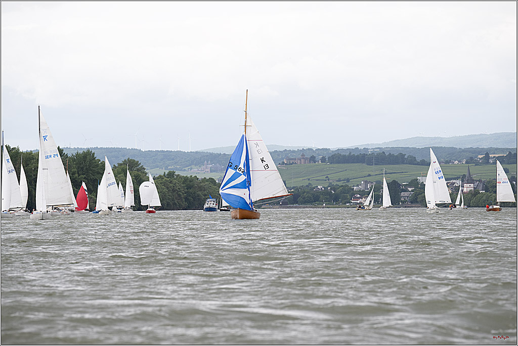 Rheinwoche 2025 1. Regattatag, 07.06.2025