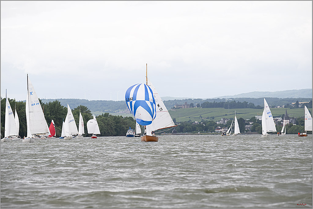 Rheinwoche 2025 1. Regattatag, 07.06.2025