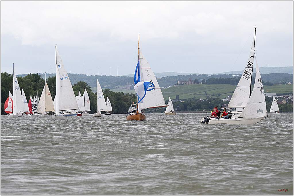 Rheinwoche 2025 1. Regattatag, 07.06.2025