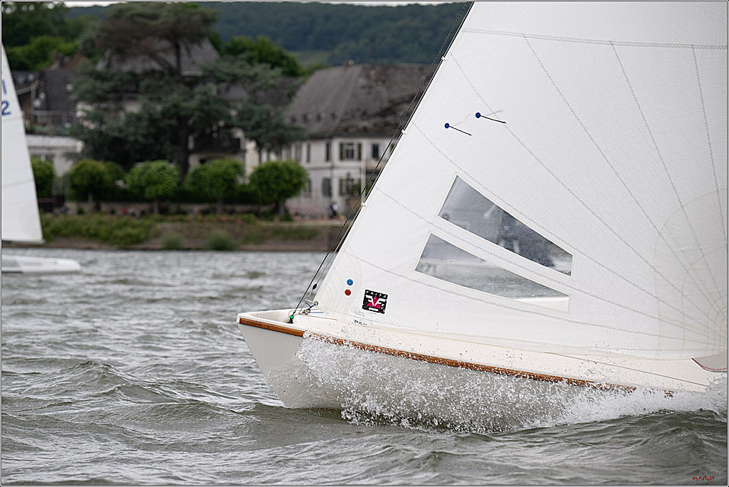 Rheinwoche 2025 1. Regattatag, 07.06.2025