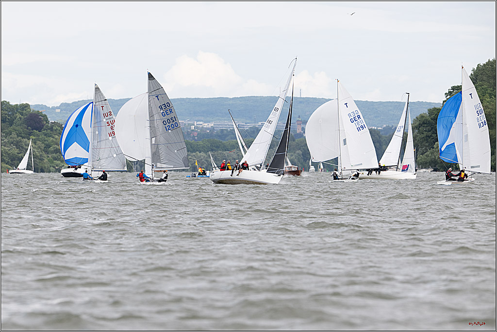 Rheinwoche 2025 1. Regattatag, 08.06.2025