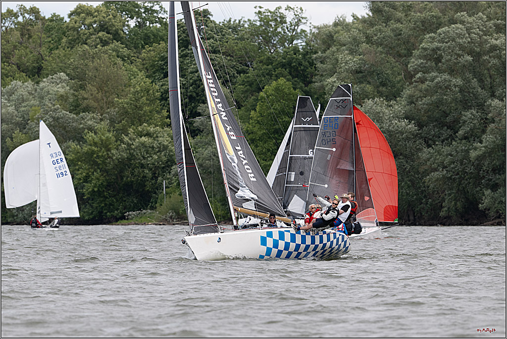 Rheinwoche 2025 1. Regattatag, 08.06.2025