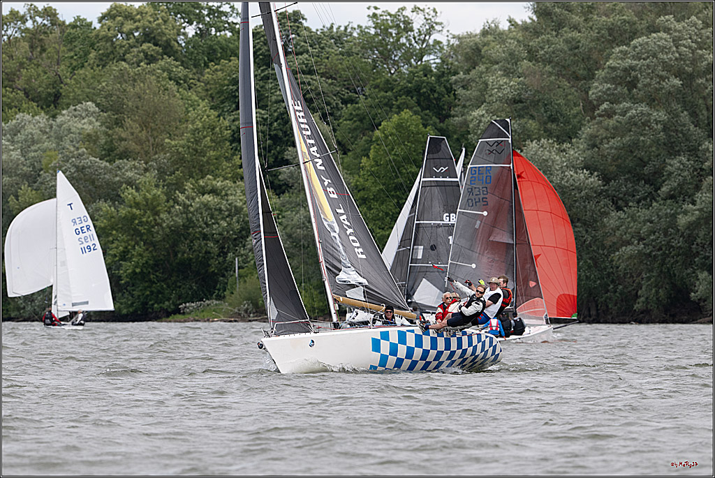 Rheinwoche 2025 1. Regattatag, 08.06.2025