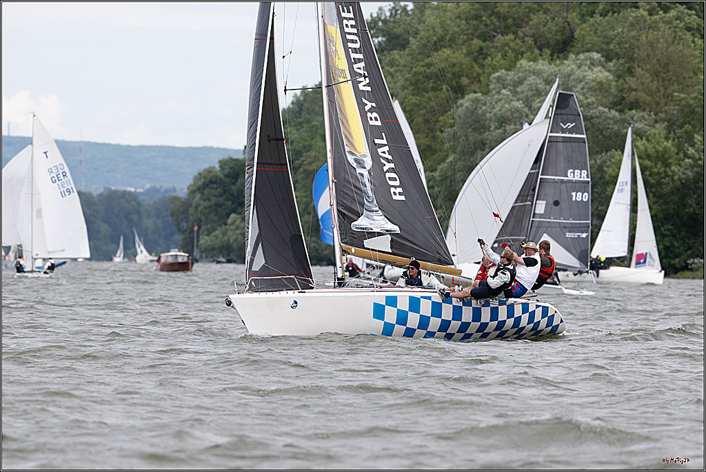 Rheinwoche 2025 1. Regattatag, 08.06.2025