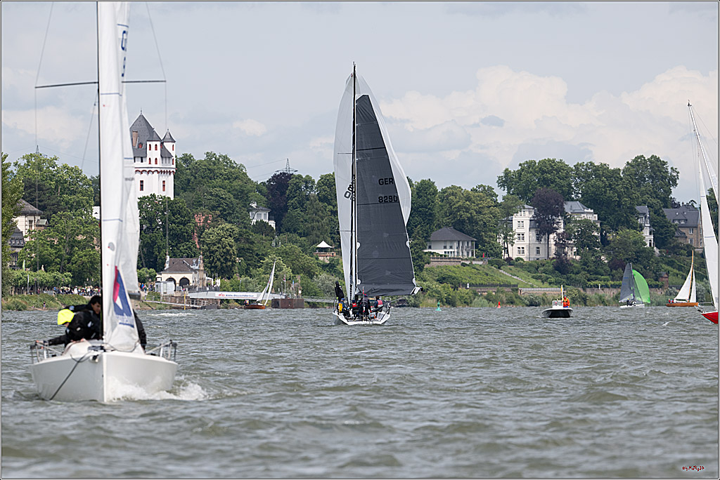 Rheinwoche 2025 1. Regattatag, 08.06.2025