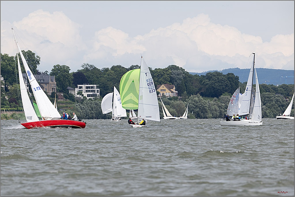 Rheinwoche 2025 1. Regattatag, 08.06.2025