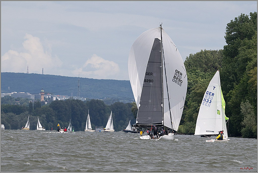 Rheinwoche 2025 1. Regattatag, 08.06.2025