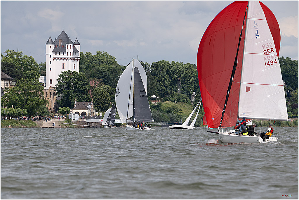 Rheinwoche 2025 1. Regattatag, 08.06.2025