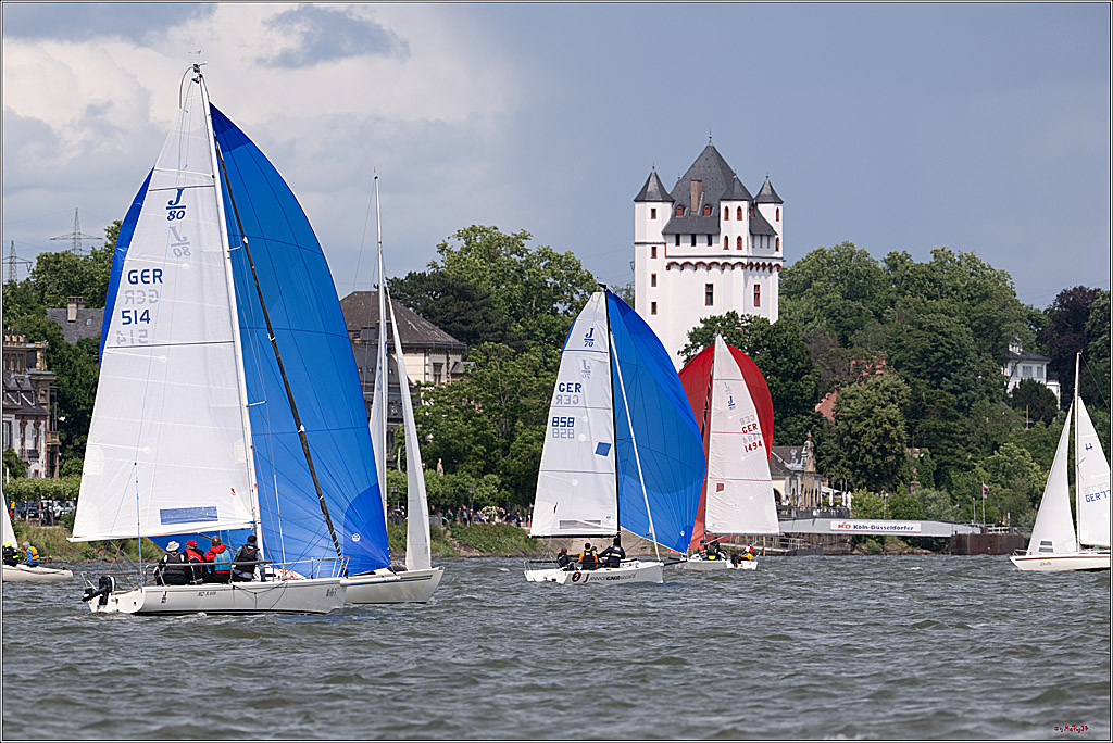 Rheinwoche 2025 1. Regattatag, 08.06.2025