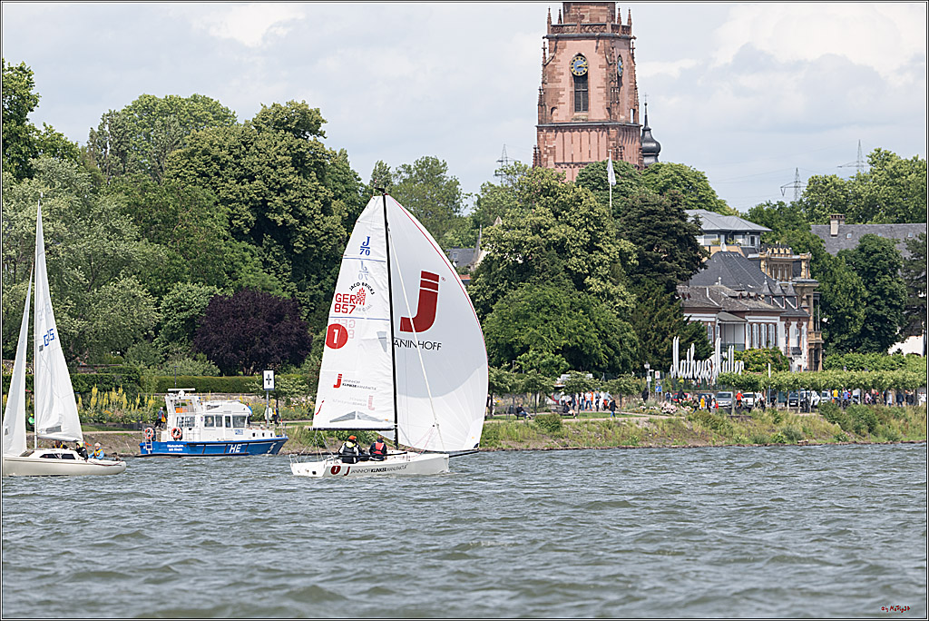 Rheinwoche 2025 1. Regattatag, 08.06.2025
