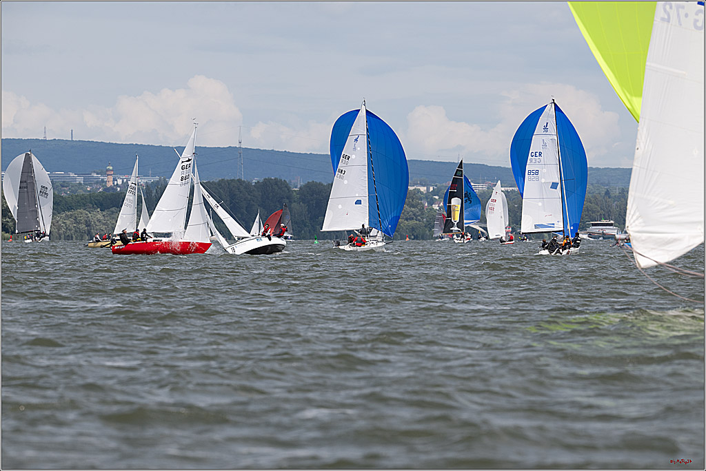 Rheinwoche 2025 1. Regattatag, 08.06.2025