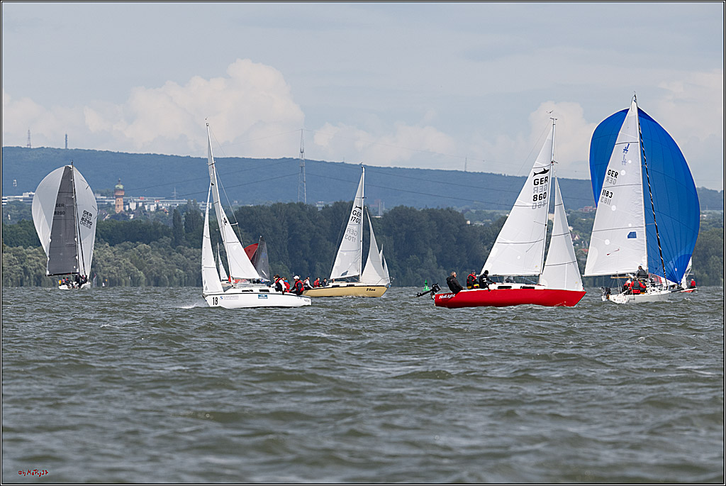 Rheinwoche 2025 1. Regattatag, 08.06.2025