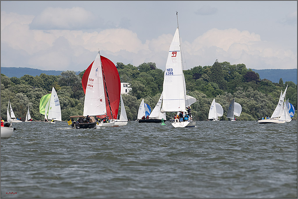Rheinwoche 2025 1. Regattatag, 08.06.2025