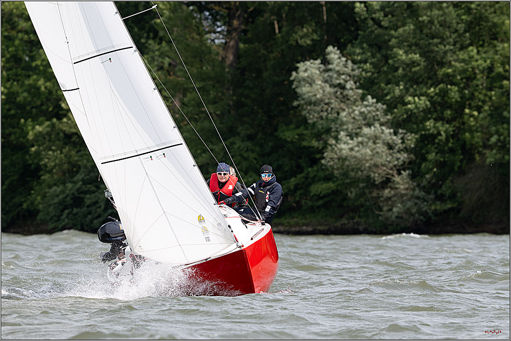 Rheinwoche 2025 1. Regattatag, 08.06.2025