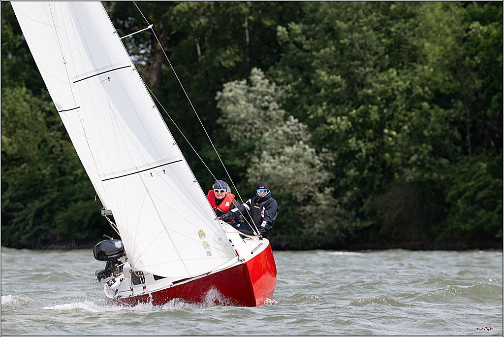 Rheinwoche 2025 1. Regattatag, 08.06.2025
