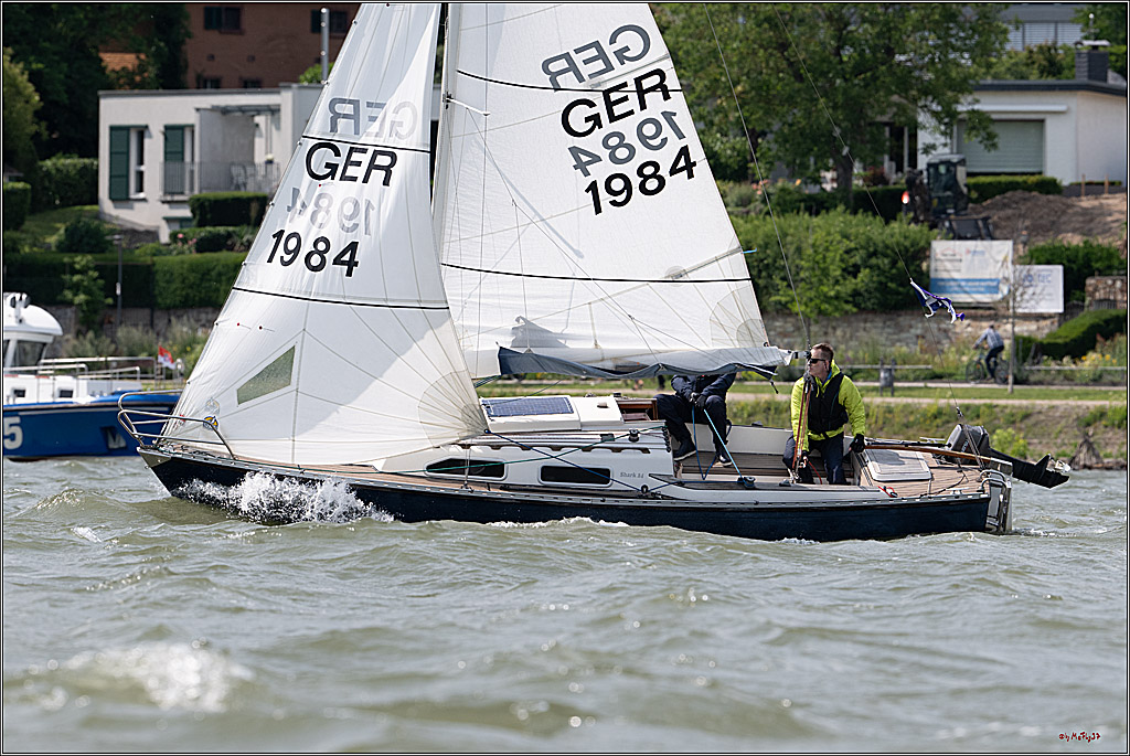 Rheinwoche 2025 1. Regattatag, 08.06.2025