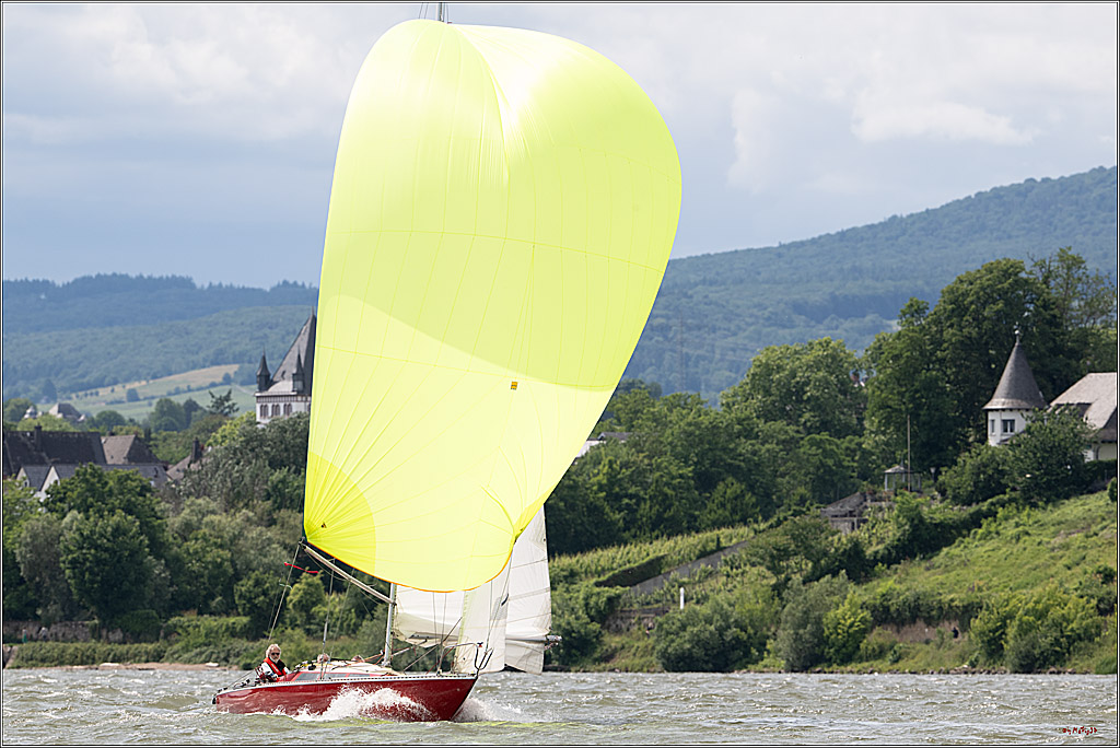 Rheinwoche 2025 1. Regattatag, 08.06.2025