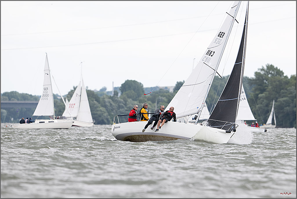 Rheinwoche 2025 1. Regattatag, 08.06.2025