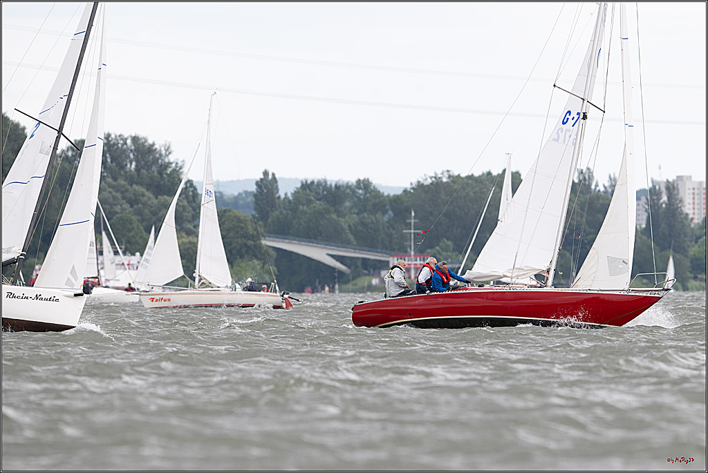 Rheinwoche 2025 1. Regattatag, 08.06.2025