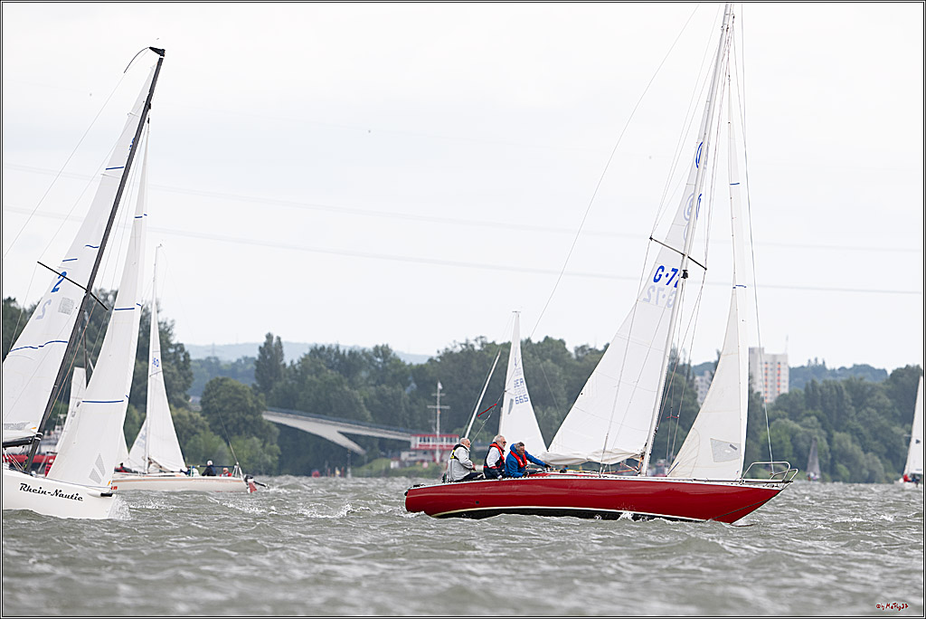 Rheinwoche 2025 1. Regattatag, 08.06.2025