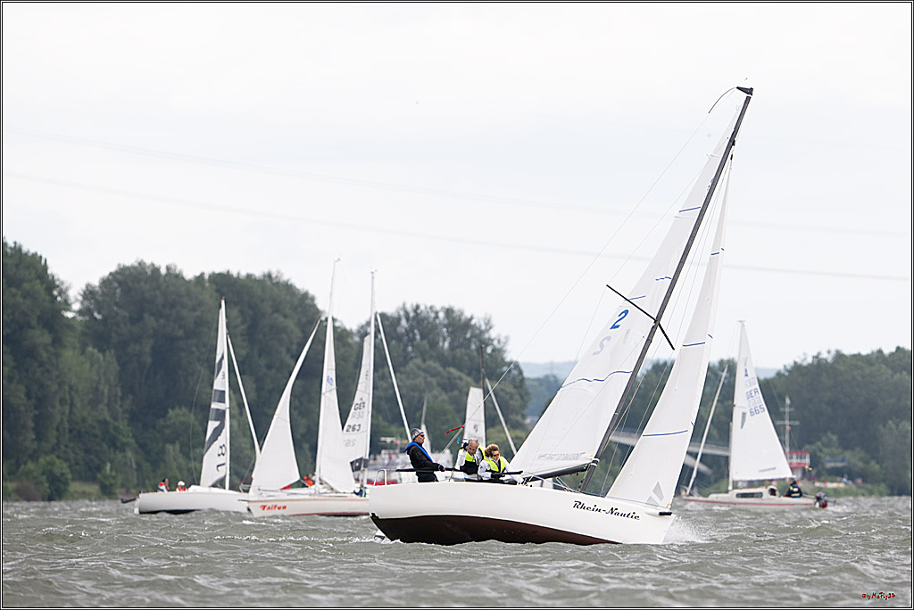 Rheinwoche 2025 1. Regattatag, 08.06.2025