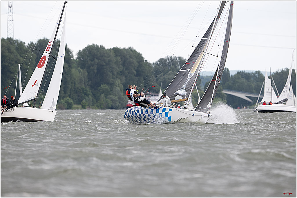 Rheinwoche 2025 1. Regattatag, 08.06.2025