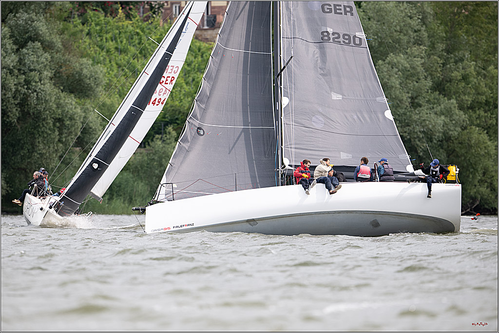 Rheinwoche 2025 1. Regattatag, 08.06.2025