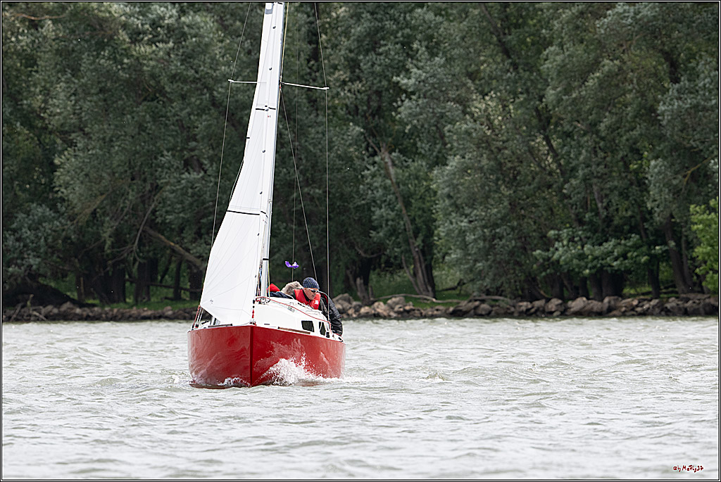 Rheinwoche 2025 1. Regattatag, 08.06.2025