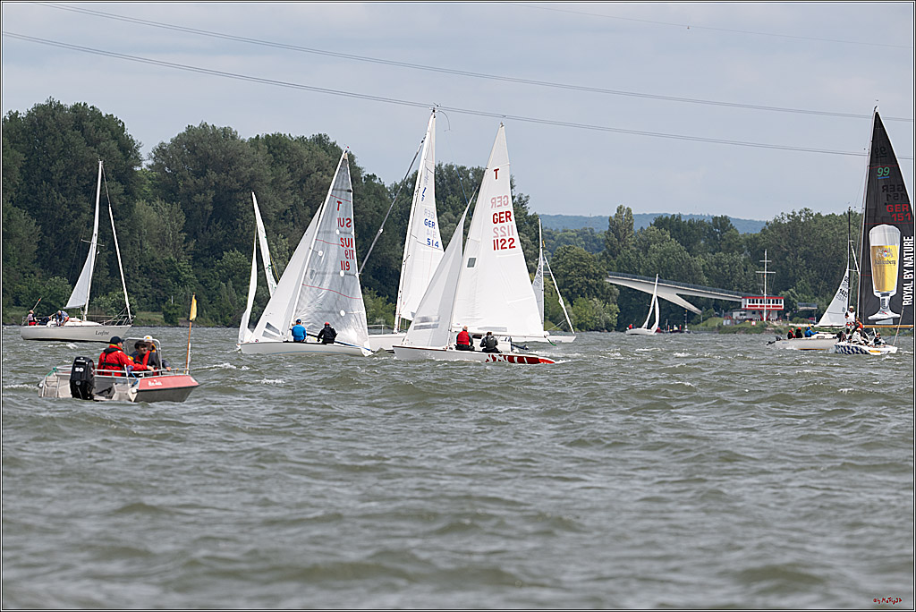 Rheinwoche 2025 1. Regattatag, 08.06.2025