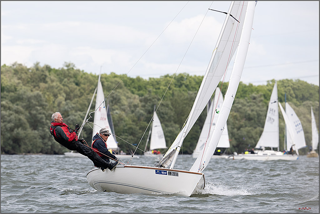 Rheinwoche 2025 1. Regattatag, 08.06.2025
