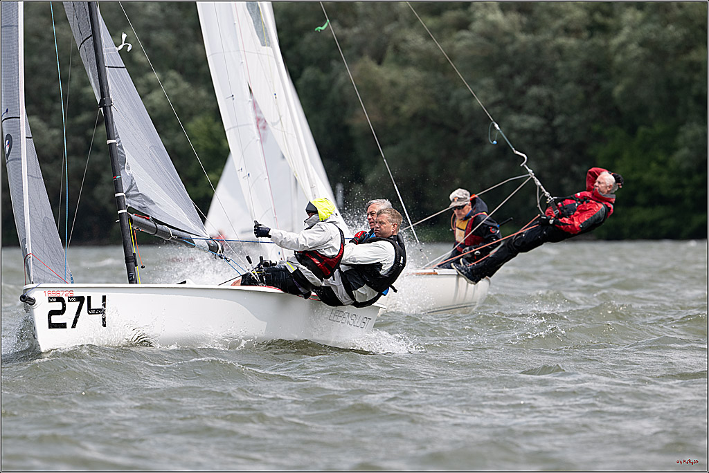 Rheinwoche 2025 1. Regattatag, 08.06.2025