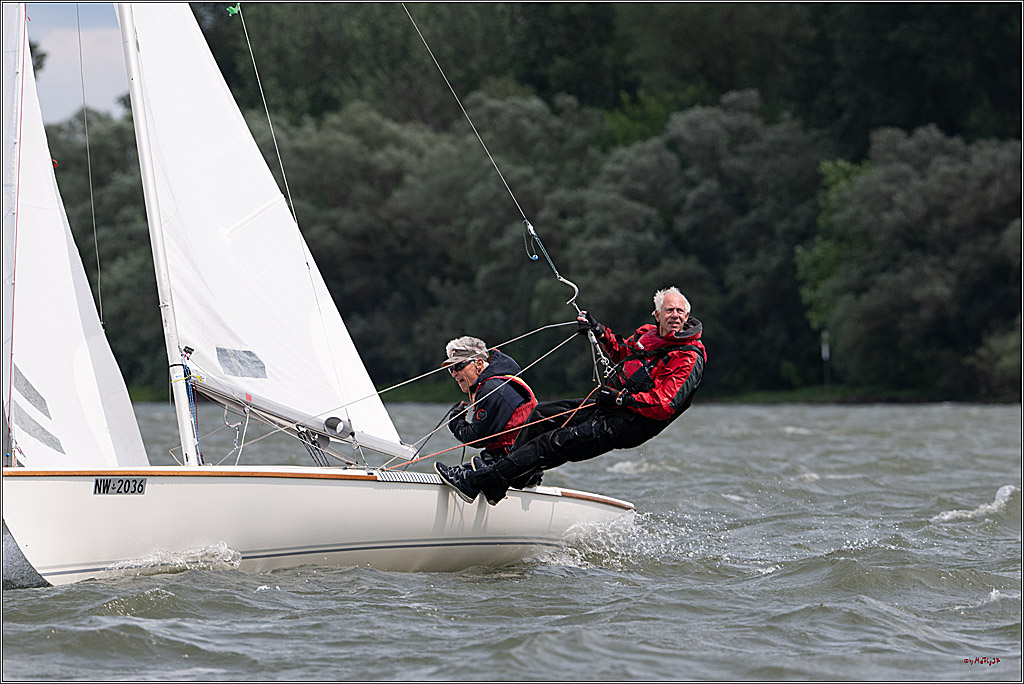 Rheinwoche 2025 1. Regattatag, 08.06.2025