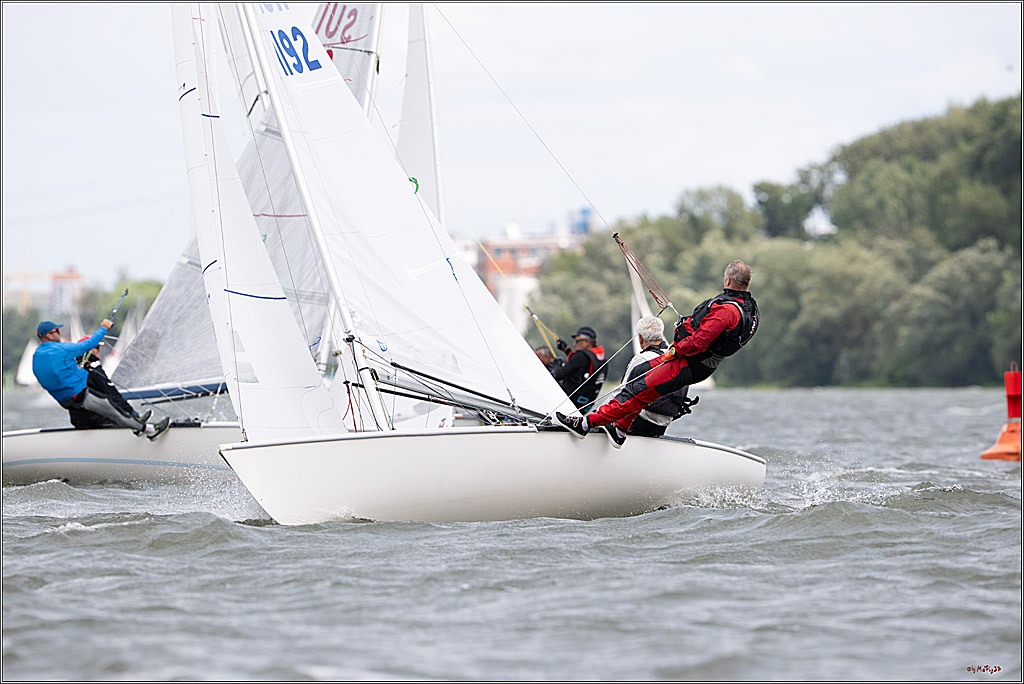 Rheinwoche 2025 1. Regattatag, 08.06.2025