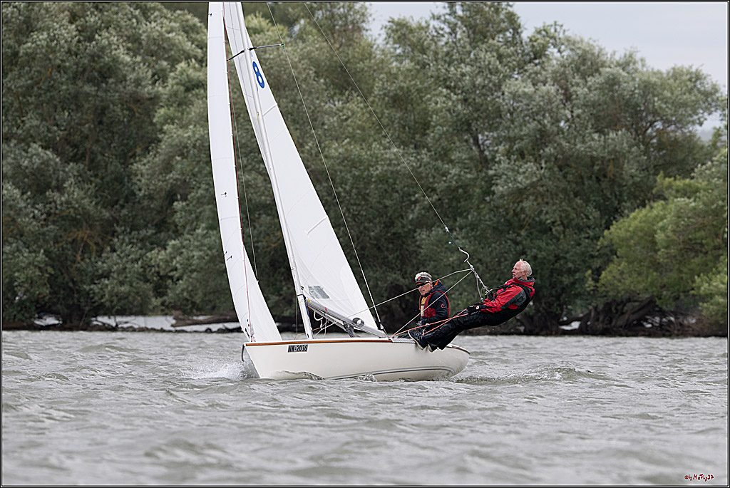 Rheinwoche 2025 1. Regattatag, 08.06.2025