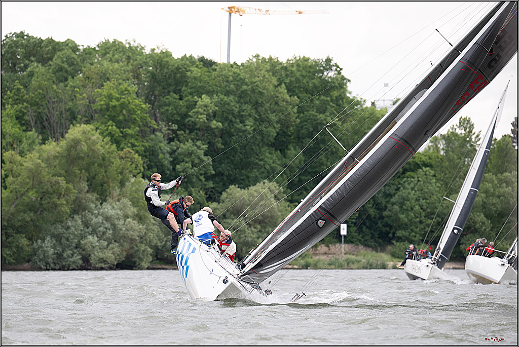 Rheinwoche 2025 1. Regattatag, 08.06.2025