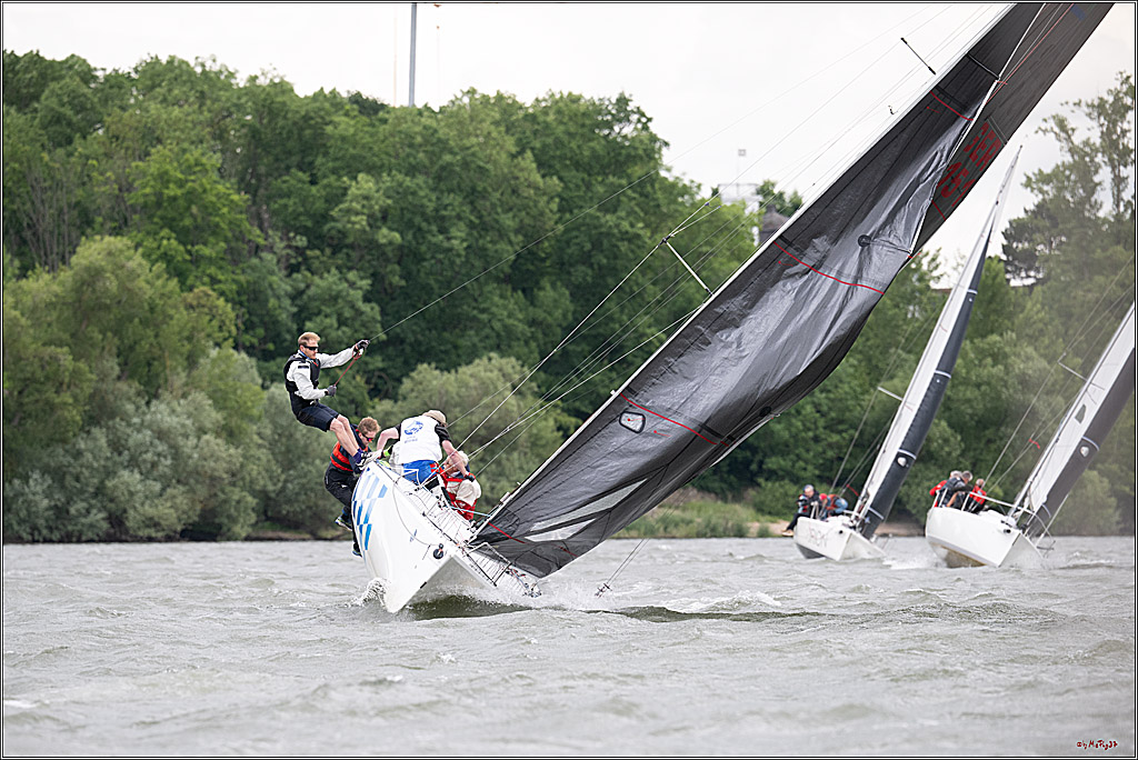 Rheinwoche 2025 1. Regattatag, 08.06.2025