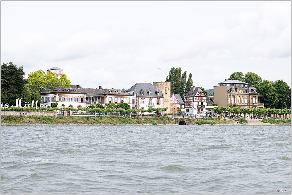 Rheinwoche 2025 1. Regattatag, 08.06.2025