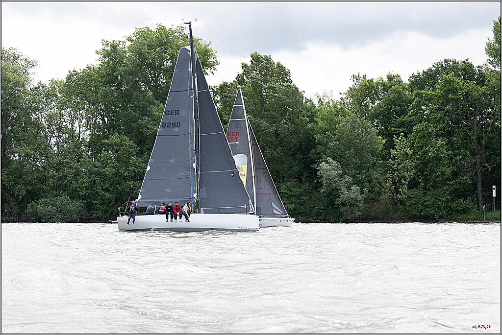 Rheinwoche 2025 1. Regattatag, 08.06.2025