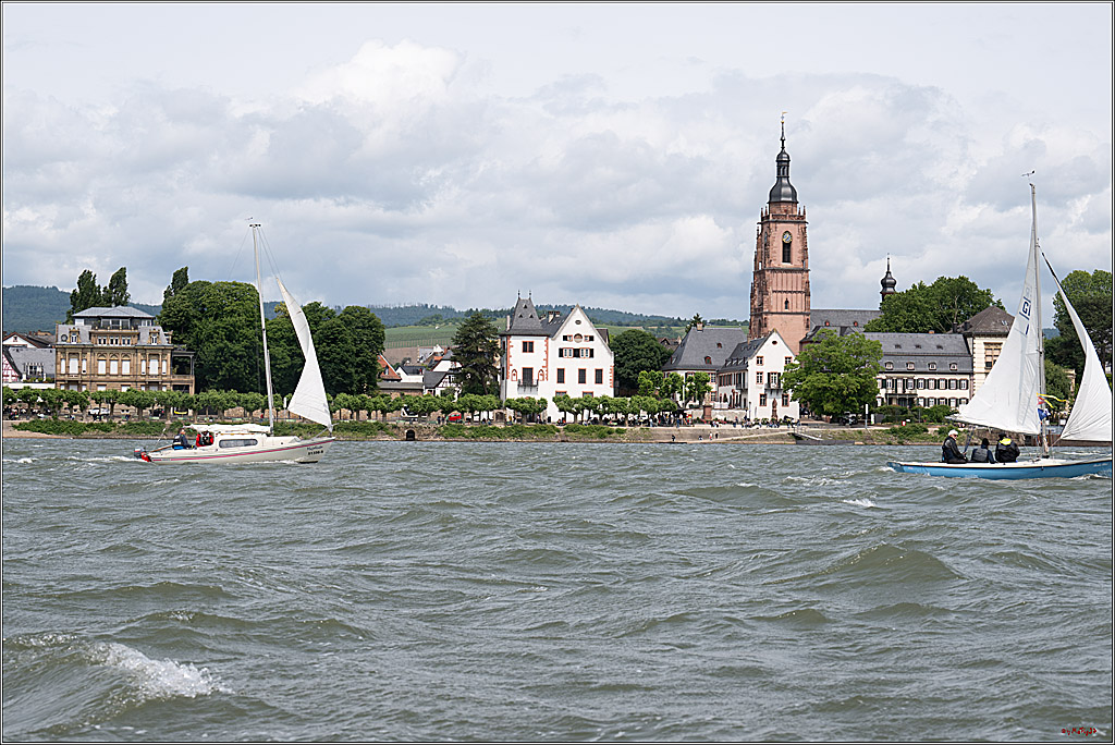 Rheinwoche 2025 1. Regattatag, 08.06.2025