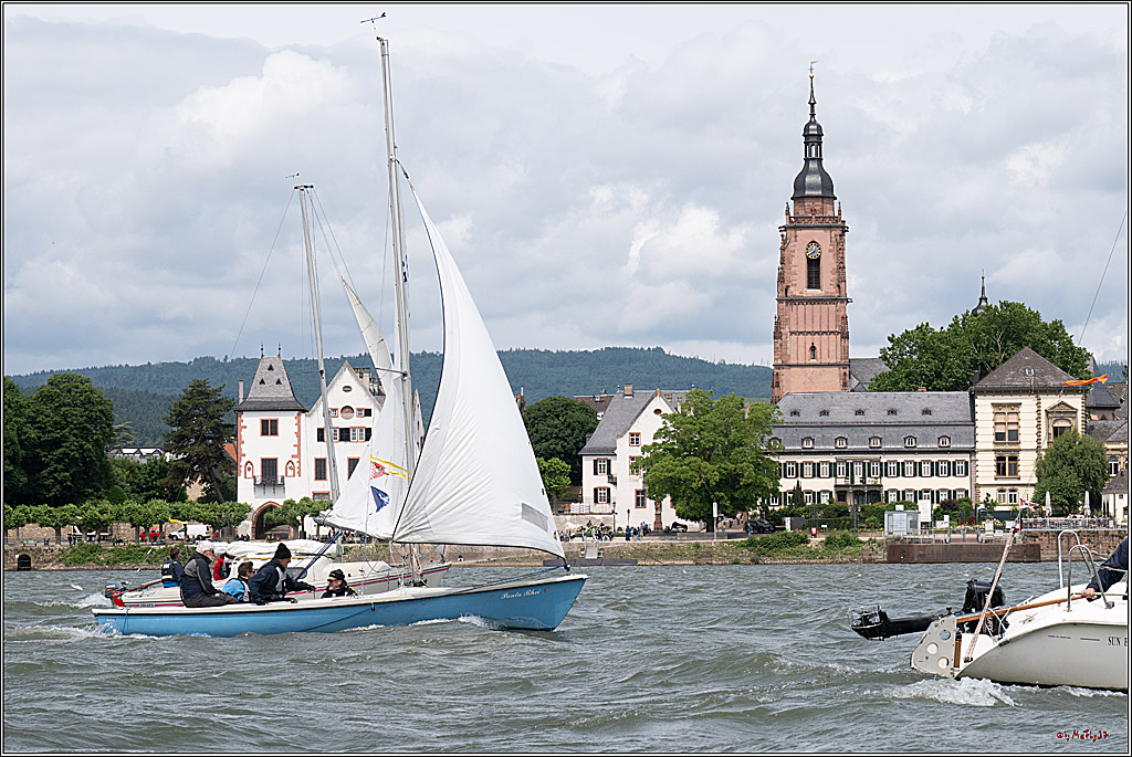 Rheinwoche 2025 1. Regattatag, 08.06.2025