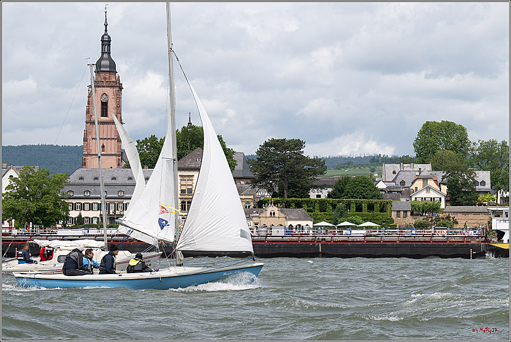 Rheinwoche 2025 1. Regattatag, 08.06.2025